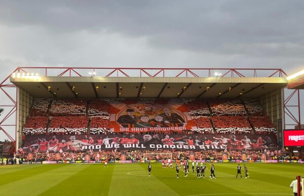 football crowd surfer flag