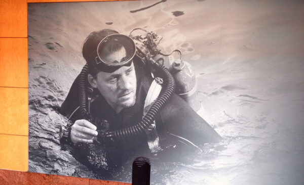 Removable self adhesive vinyl - Image 2
