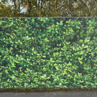 pre printed hedge heras fence cover